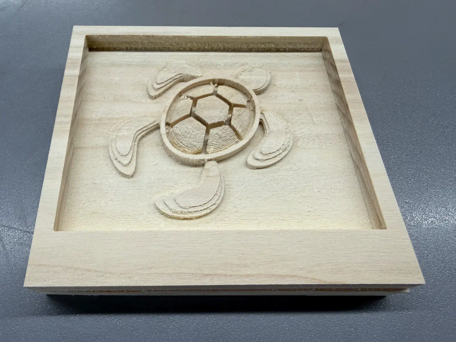 A sea turtle carved in relief inside a shallow pocket in a maple board.