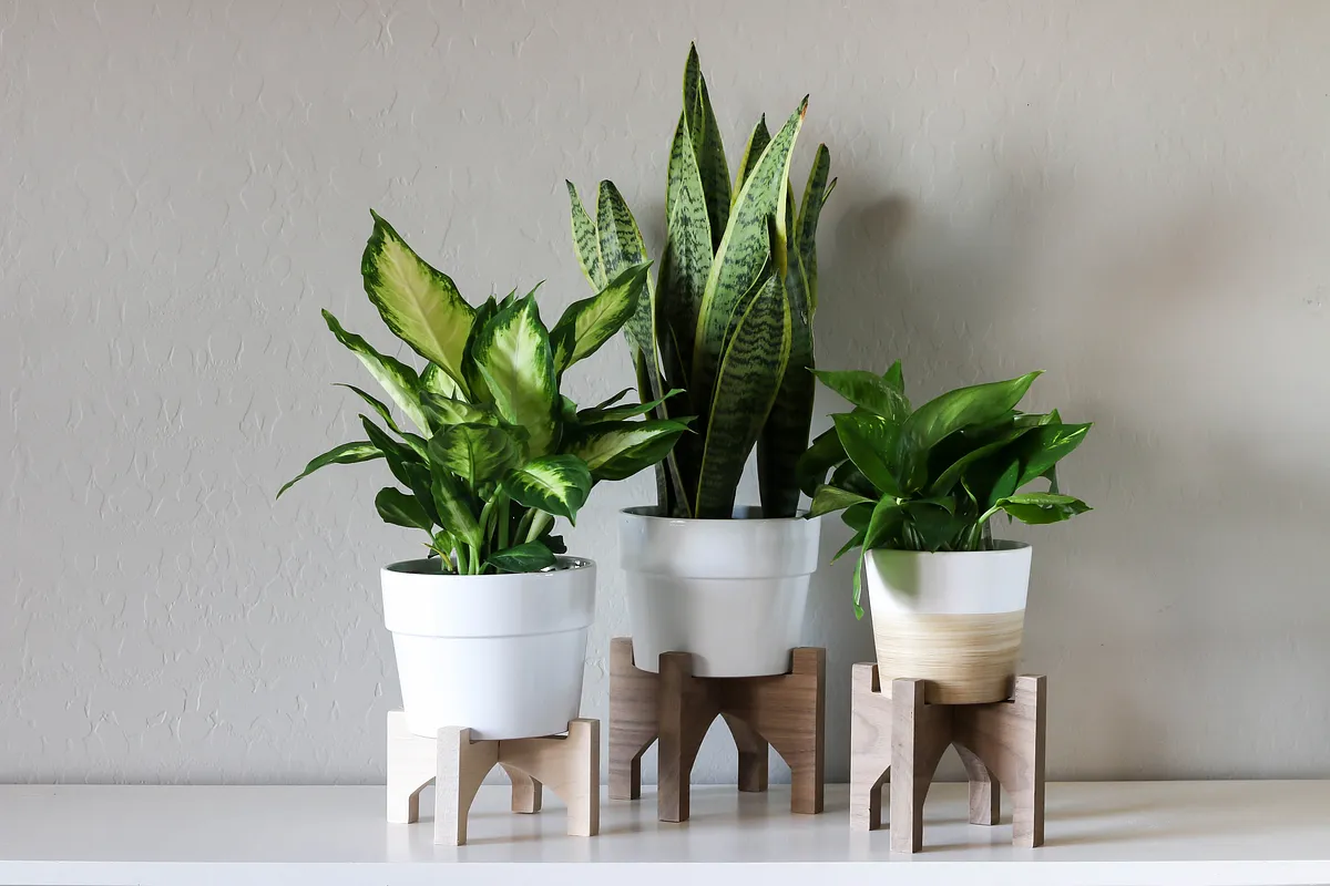 Interlocking Plant Stand