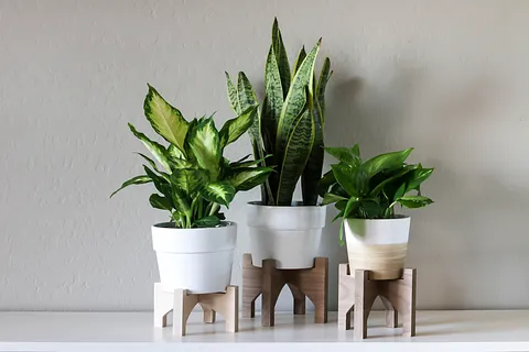 Interlocking Plant Stand